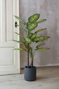 Umelá difenbachia v antracitovom kvetináči FRONDA, výška 110 cm, zelená