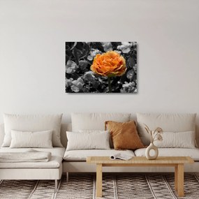 Sklenený obraz kvetu (70x50 cm)