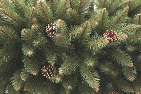 Vianočný stromček Smrek horský so šiškou 220 cm