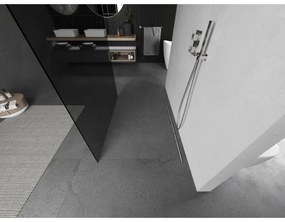 Mexen Kioto, sprchová zástena Walk-In 120 x 200 cm, 8mm šedé sklo, brúsená oceľ profil,  800-120-002-97-40