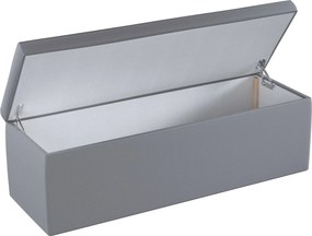 Truhlica čalúnená farba produktu sivá