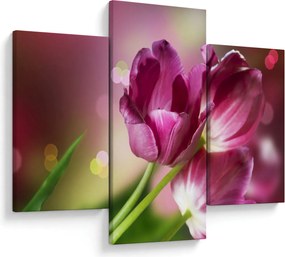 Obraz ružových tulipánov (90x60 cm)