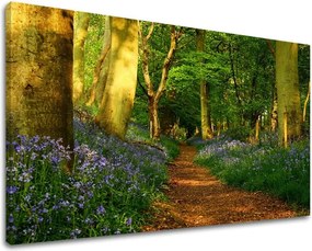 Obraz na stenu STROMY