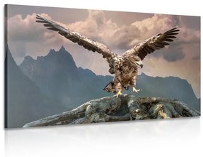 Obraz orol s roztiahnutými krídlami nad horami