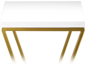 STOJAN NA KVETINÁČ LOFT6 40X24X24 CM ZLATÁ/BIELA