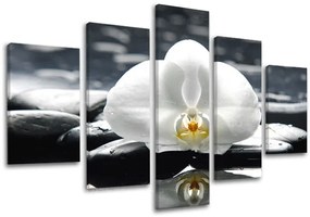 Obraz na stenu FENG SHUI | rôzne rozmery