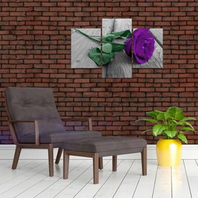 Obraz - Fialová ruža so zelenou stonkou (90x60 cm)