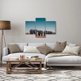 Obraz - Odchod slonov (90x60 cm)