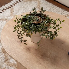 Konferenčný stolík Sable Sapphire Oak
