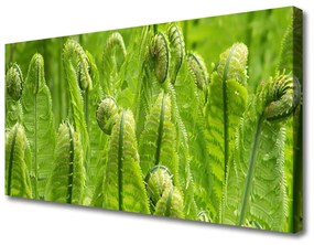 Obraz Canvas Rastlina príroda 100x50 cm