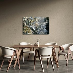 Obraz - Detail vetvy (90x60 cm)