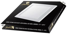 LED Stropné svietidlo LED/24W/230V 4000K