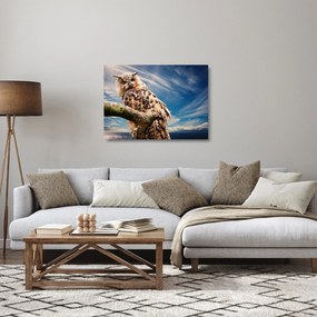 Sklenený obraz sovy (70x50 cm)