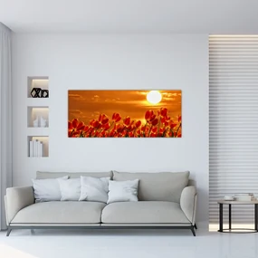Obraz rozkvitnutého lánu s tulipánmi (120x50 cm)