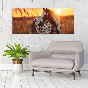 Obraz - Kôň pri západe slnka (120x50 cm)
