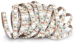 ECOLIGHT LED pásik - SMD 2835 - 5m - 600/5m - 9,6 W/m - IP20 - studená biela