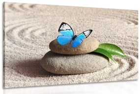 Obraz modrý motýľ v Zen záhrade - 90x60