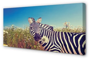 Obraz na plátne zebra kvety 120x60 cm