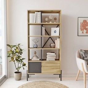 Knižnica Houseland Tara dub Wotan/antracitovo sivá