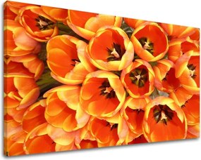 Obraz na stenu KVETY KV026E11 - 20x30 cm