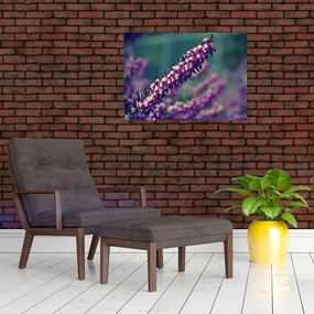 Sklenený obraz fialovej kvetiny (70x50 cm)