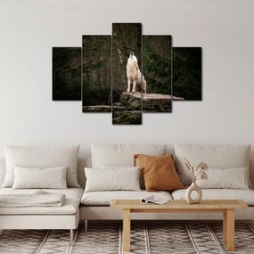 Obraz - Vytie vlka (150x105 cm)