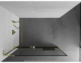 Mexen Kioto+ L, sprchová zástena Walk-In s poličkou a vešiakom 50 x 200 cm, 8mm číre sklo čierny vzor, zlatý lesklý profil,800-050-123-50-70