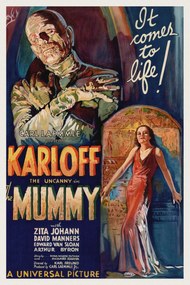 Obrazová reprodukcia The Mummy (Vintage Cinema / Retro Movie Theatre Poster / Horror & Sci-Fi), (26.7 x 40 cm)