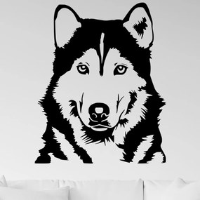 Veselá Stena Samolepka Husky Farba: černá, Veľkosť: 100 x 81 cm