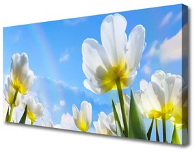 Obraz Canvas Rastliny kvety tulipány 100x50 cm