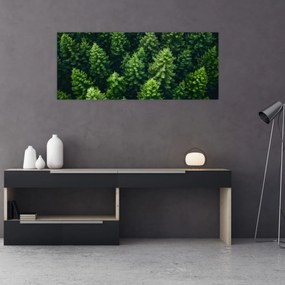 Obraz - Les (120x50 cm)