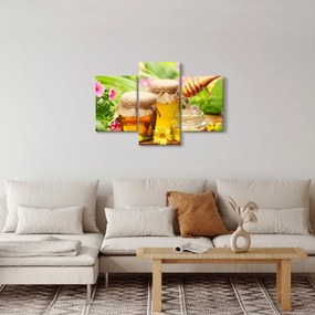 Obraz medu (90x60 cm)