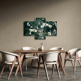 Obraz - Pavučina (90x60 cm)