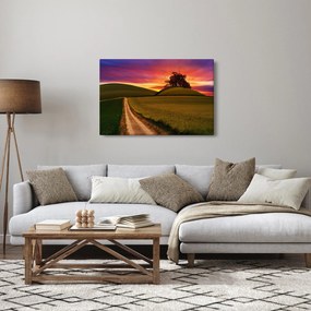 Obraz poľa pri západe slnka (90x60 cm)