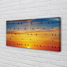 Obraz na plátne Vtáky na lanách západu slnka 140x70 cm