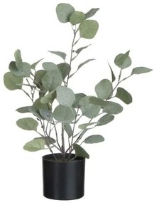 Dekorácie Eucalyptus v kvetináči - Ø12 * 43cm