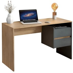 PC stolík Titanes (dub artisan + grafit) . Vlastná spoľahlivá doprava až k Vám domov. 1116532