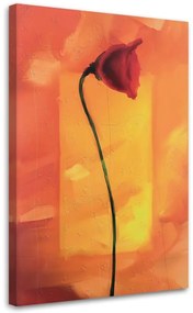 Obraz na plátně Mák Červený květ Příroda - 40x60 cm