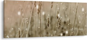 Obraz - Harmonická lúka (120x50 cm)