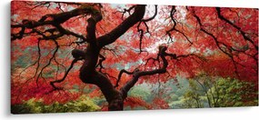 Obraz červeného japonského javora, Portland, Oregon (120x50 cm)