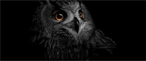 Obraz - Sova, ilustrácie (120x50 cm)