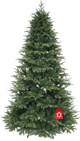 Smrek Himalájsky 150 cm
