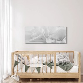 Obraz - Perie (120x50 cm)
