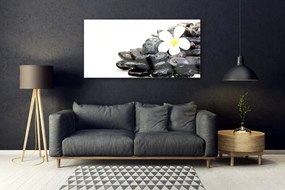 Obraz plexi Kvety kamene umenie 120x60 cm