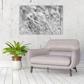 Obraz - Zasnežené vetvy (90x60 cm)
