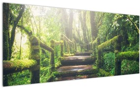 Obraz - drevené schody v lese (120x50 cm)