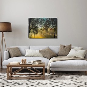 Sklenený obraz východu slnka (70x50 cm)