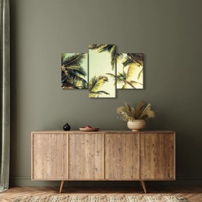 Obraz s kokosovými palmami (90x60 cm)