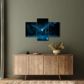 Obraz letiacej sovy (90x60 cm)