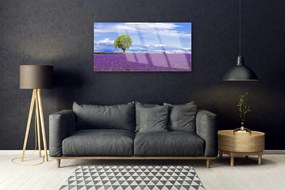 Skleneny obraz Pole levanduľa strom príroda 100x50 cm